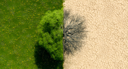 La Tempesta del Secolo in Spagna: Un Avvertimento sui Limiti dell'Adattamento Climatico